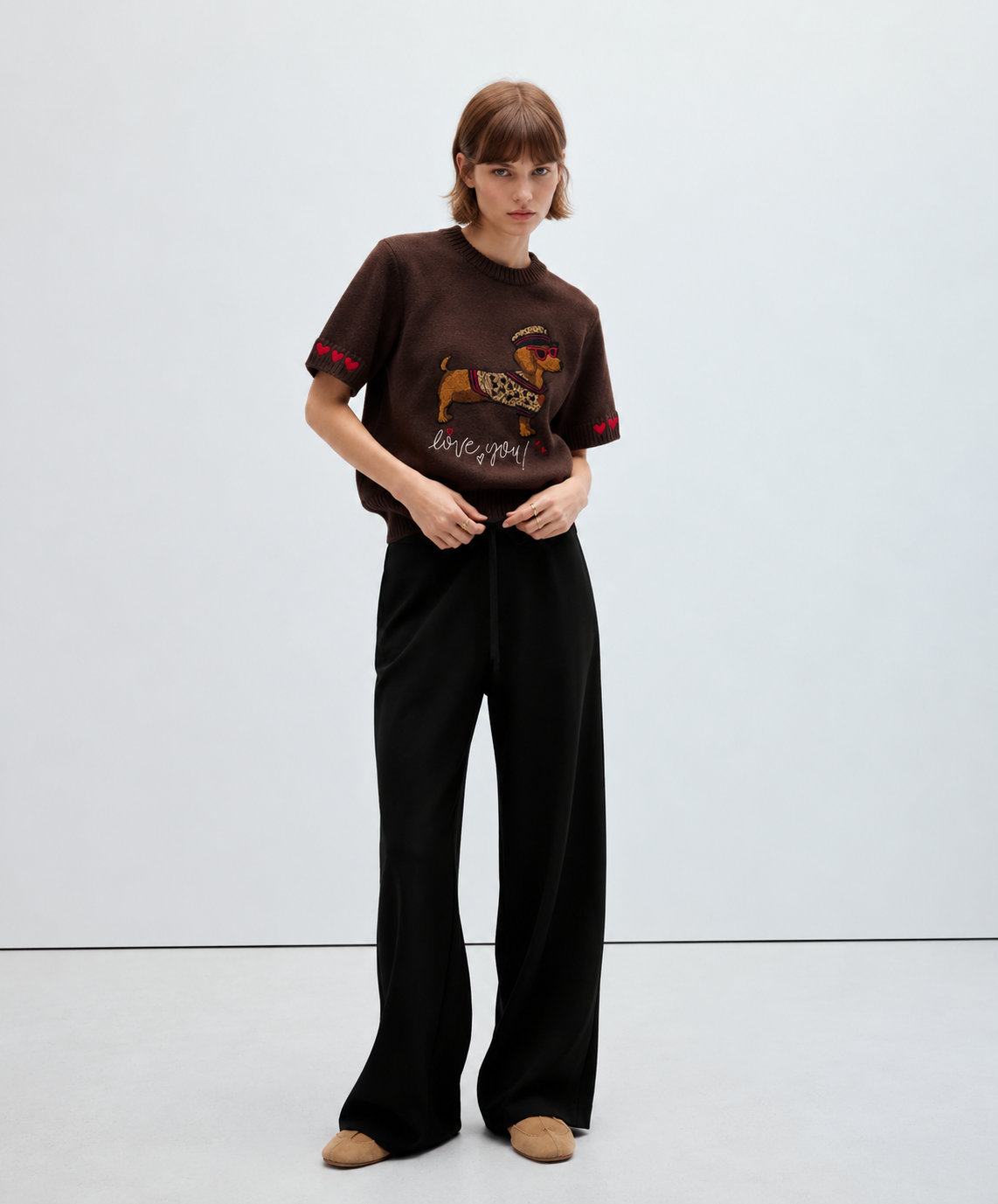 Pull Chic con Bassotto