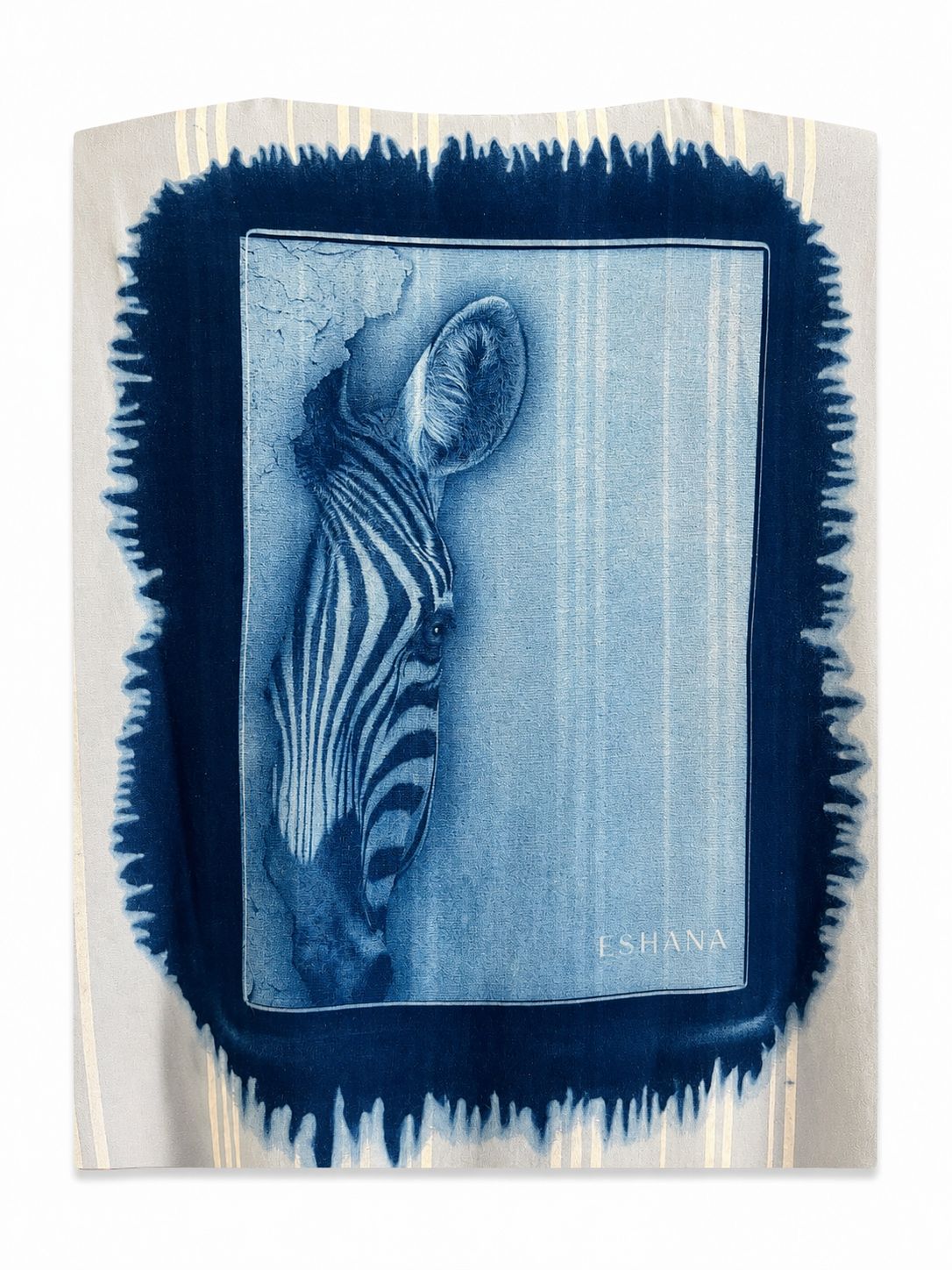 Camicetta Zebra Sky
